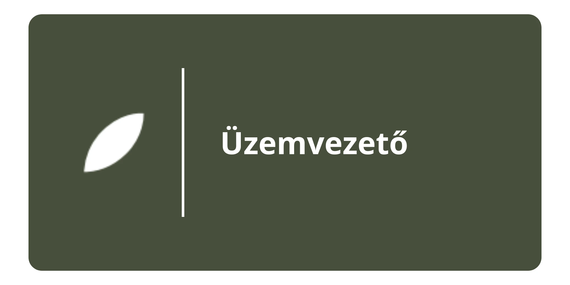 Üzemvezető